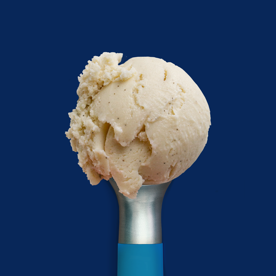 Vanilla Bean Ice Cream