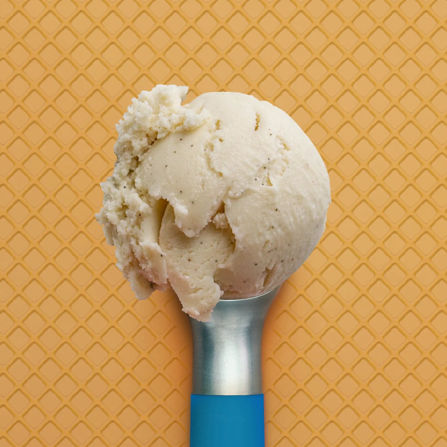 Scoop of Soy Vanilla Bean