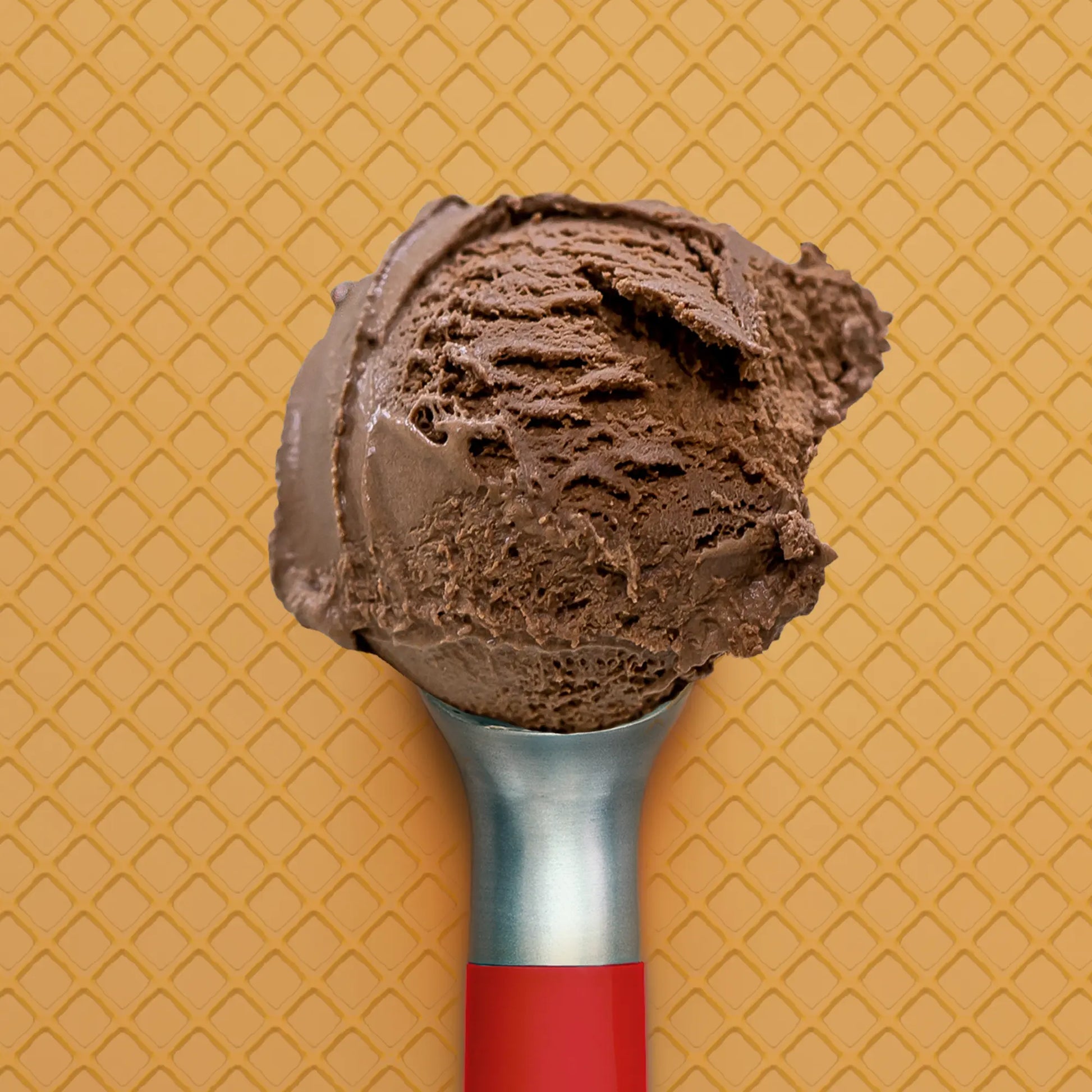 Scoop of Ultra Chocolate