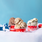12 Days of Ice Cream