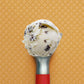 Scoop of Mint Chocolate Chip Ice Cream