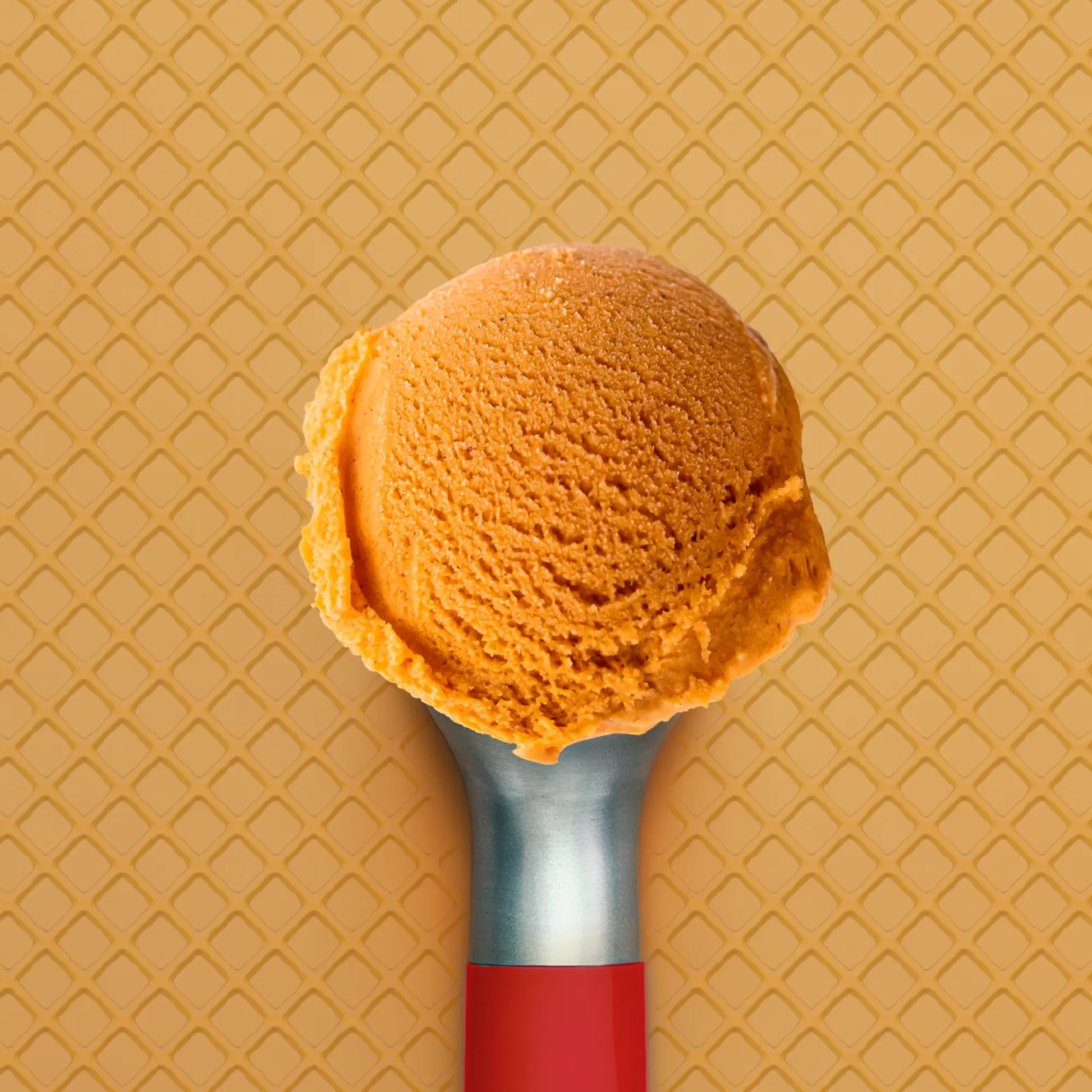 Scoop of Perfectly Pumpkin Ice Cream